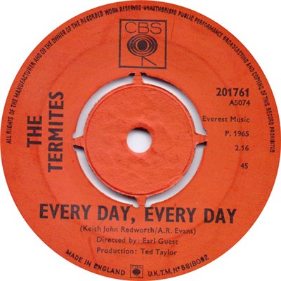 The Termites - Every Day, Every Day download mp3 flac