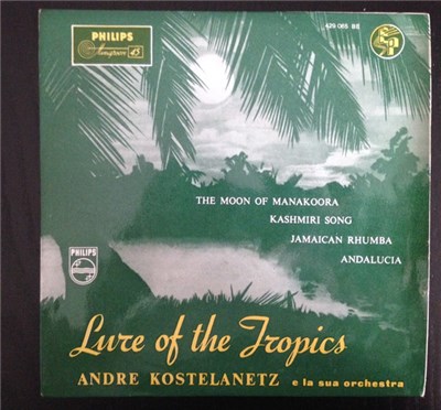 André Kostelanetz E La Sua Orchestra - Lure Of The Tropics download mp3 flac