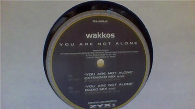 Wakkos - You Are Not Alone download mp3 flac