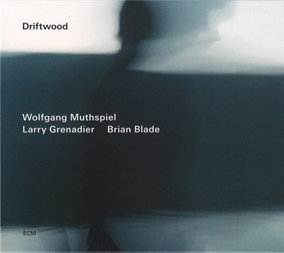 Wolfgang Muthspiel / Larry Grenadier / Brian Blade - Driftwood download mp3 flac