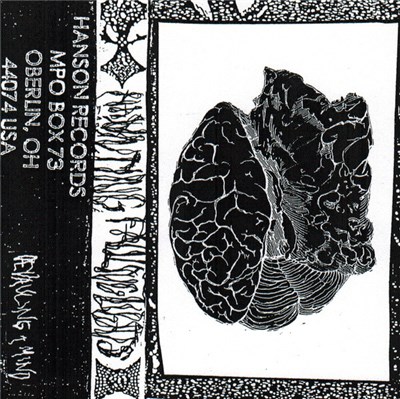 Haunting / Failing Lights - Devaluing A Mind download mp3 flac