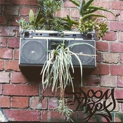 Dolphin Brain - Bloom Box download mp3 flac