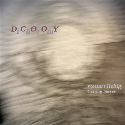 Steuart Liebig - Dichotomy download mp3 flac