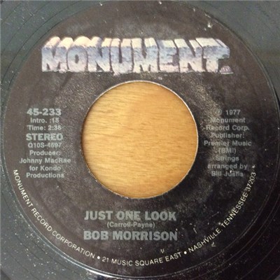Bob Morrison - Just One Look download mp3 flac