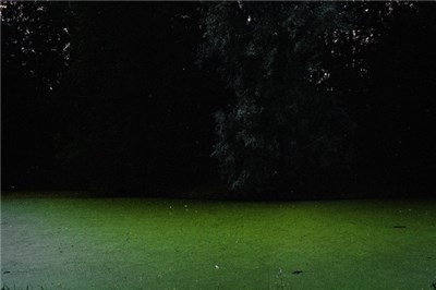 Bleak Fiction - Play Alone download mp3 flac