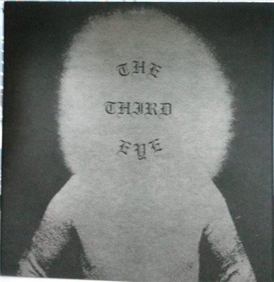 The Third Eye - Searching download mp3 flac