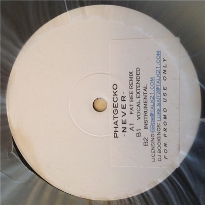 Phatgecko - Never download mp3 flac
