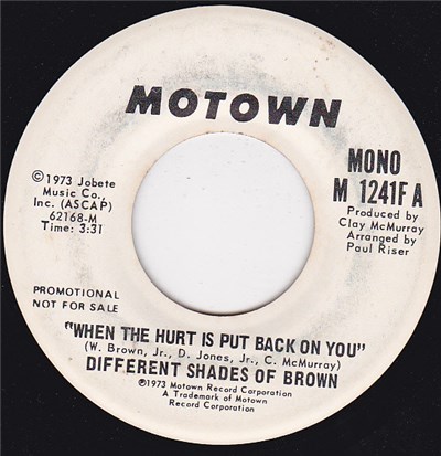 Different Shades Of Brown - When The Hurt Is Put Back On You download mp3 flac