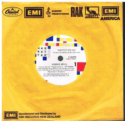 Robbie Nevil - Wot's It To Ya download mp3 flac