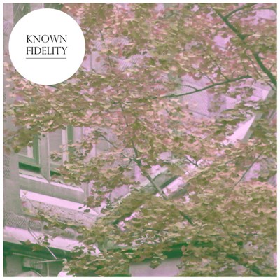 Known Fidelity - Known Fidelity EP download mp3 flac