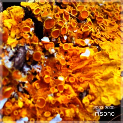 Irísono - 2003-2005 download mp3 flac