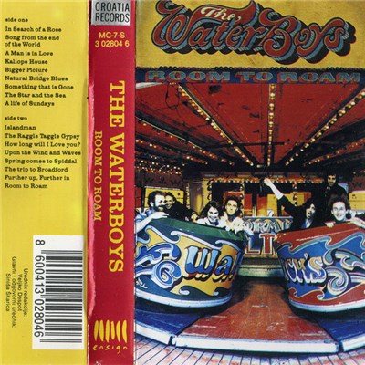 The Waterboys - Room To Roam download mp3 flac