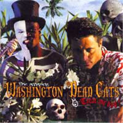 Washington Dead Cats - Treat Me Bad download mp3 flac