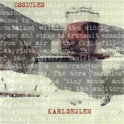 Karl Seglem - Ossicles download mp3 flac