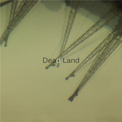 Various - Dead Land download mp3 flac
