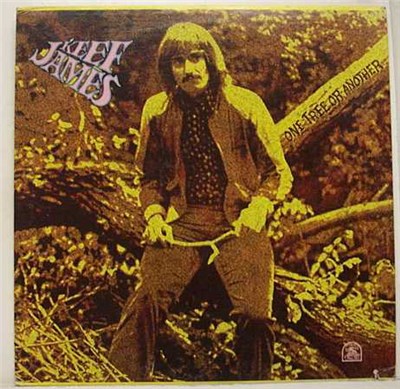 Keef James - One Tree Or Another download mp3 flac