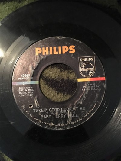 Baby Terry Hall - Shake-A-Fin download mp3 flac