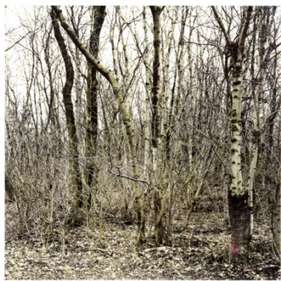Junghanß - Naked download mp3 flac
