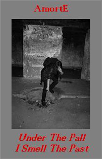AmortE - Under The Pall I Smell The Past download mp3 flac