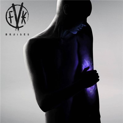 Fearless Vampire Killers - Bruises download mp3 flac