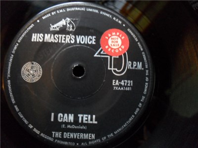 The Denvermen - I Can Tell download mp3 flac