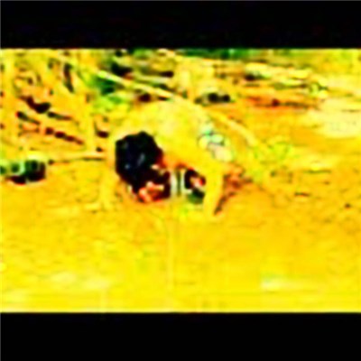 Mayday Everyday - Anarchy Expectation download mp3 flac