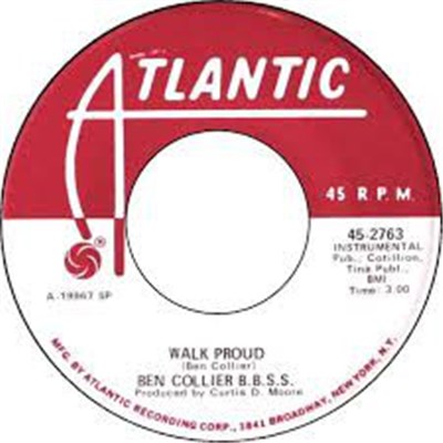Ben Collier B. B. S. S. - Walk Proud download mp3 flac