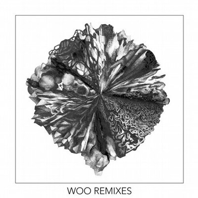 Monkey Safari - Woo Remixes download mp3 flac