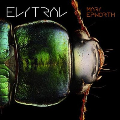 Mary Epworth - Elytral download mp3 flac