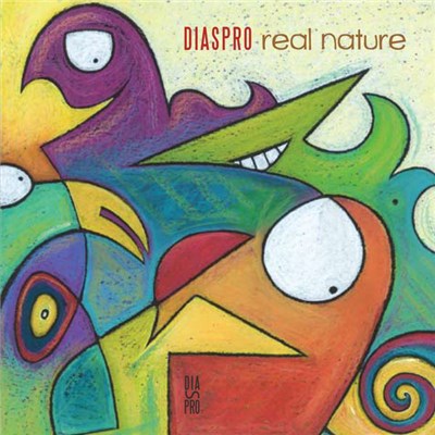 Diaspro - Real Nature download mp3 flac