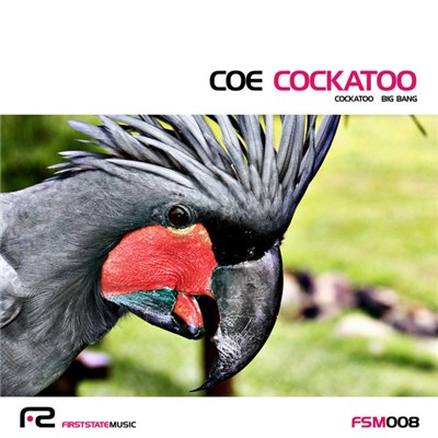 Coe - Cockatoo download mp3 flac