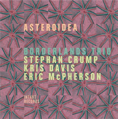 Borderlands Trio, Stephan Crump, Kris Davis, Eric McPherson - Asteroidea download mp3 flac
