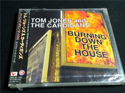 Tom Jones And The Cardigans - Burning Down The House download mp3 flac