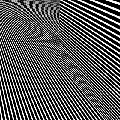 Fabric - Curiosity Model EP download mp3 flac