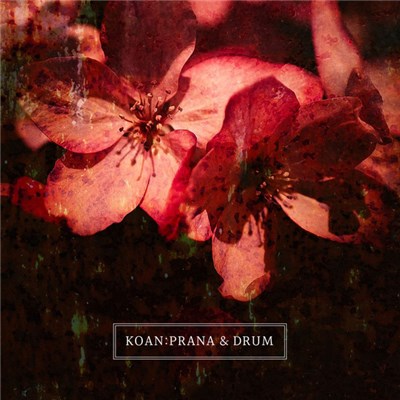 Koan - Prana And Drum download mp3 flac