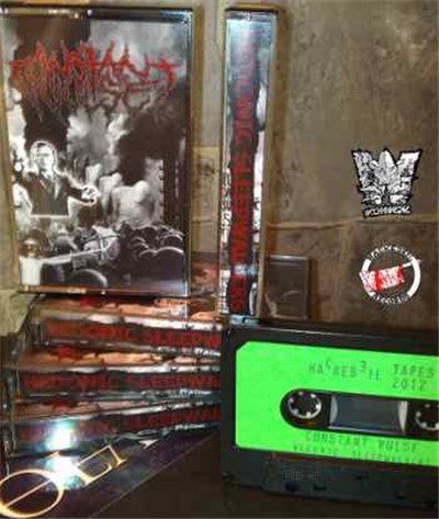 Constant Vulse - Hedonic Sleepwalkers download mp3 flac