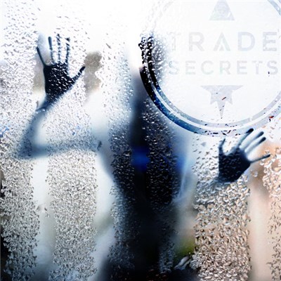 Trade Secrets - TRUE NORTH (The Remixes) download mp3 flac