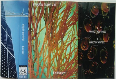 Swarm Survival - Entropy download mp3 flac