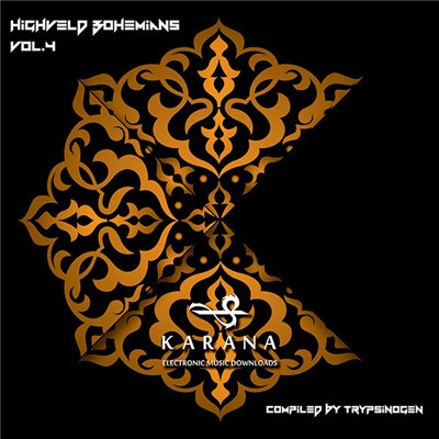 Trypsinogen - Highveld Bohemians Volume 4 download mp3 flac