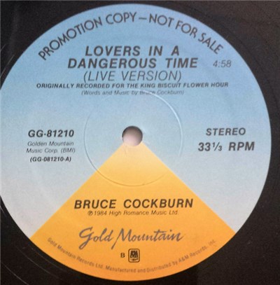 Bruce Cockburn - Lovers In A Dangerous Time download mp3 flac