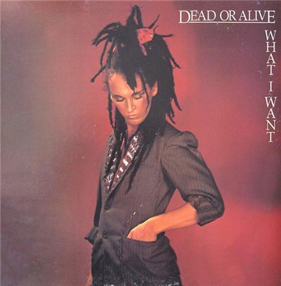 Dead Or Alive - What I Want download mp3 flac