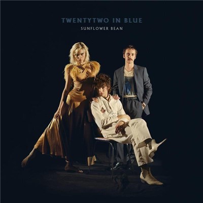 Sunflower Bean - Twentytwo In Blue download mp3 flac