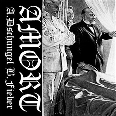 Amort - Dschungel/Fieber download mp3 flac