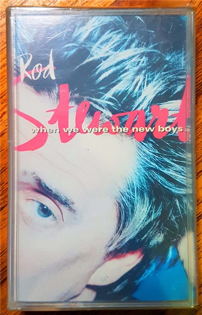 Rod Stewart - When We Were The New Boys download mp3 flac