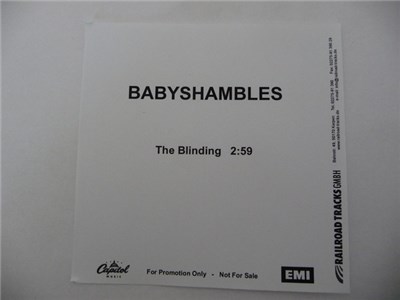 Babyshambles - The Blinding download mp3 flac