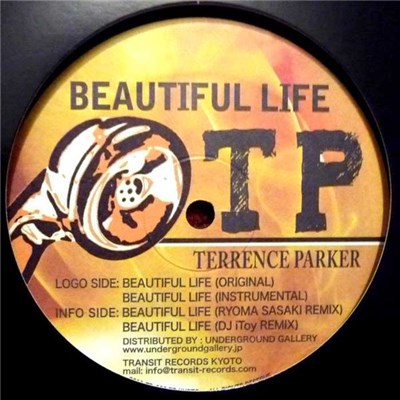 Terrence Parker - Beautiful Life download mp3 flac