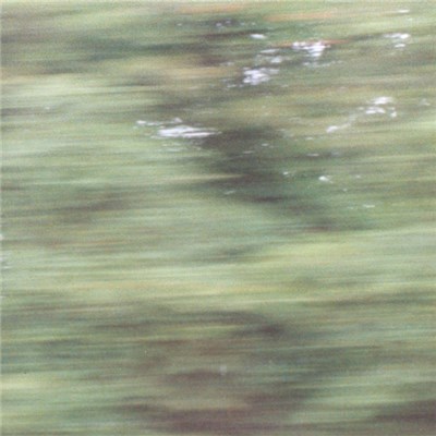 Growing - Live Series (Sussex, UK 3/26/04) download mp3 flac