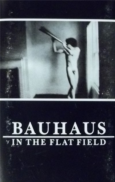 Bauhaus - In The Flat Field download mp3 flac