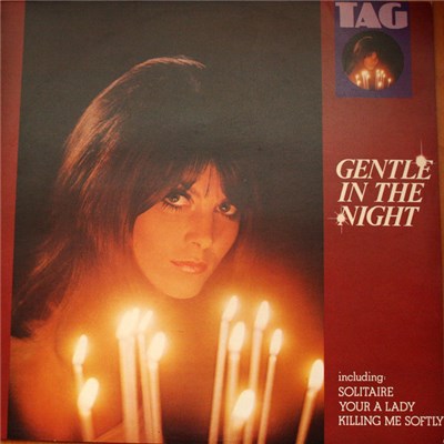 Unknown Artist - Gentle In The Night download mp3 flac