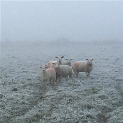 Various - Meditations 3 download mp3 flac